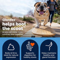 Vetnique Glandex for Dogs Anal Gland Powder, Support for Scooting & Fishy Odor, Boot The Scoot Fiber Supplement, Pumpkin Powder & Probiotics for Dogs with Digestive Enzymes (5.5oz Powder, Beef Liver)