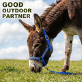 1 Set Mini Donkey Halter with Lead Rope Adjust