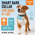 No Shock Bark Collar for Small Dogs 8-40 lbs - Beep & Vibration, Smart Screen, 5 Sensitivity, Anti-False Trigger, Magnet