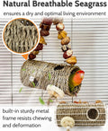 Bird Tunnel for Cage with Chew Toys, Only for Small-Sized Bird