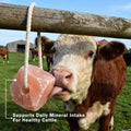 100% Organic Himalayan Salt Lick Provides Essential Minerals for Your Horse/Livestock. This 4.4 lbs Natural Pink Salt Bl