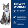 Hill's Prescription Diet Brain Care + j/d Joint Care Dry Cat Food