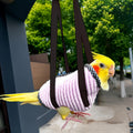 2Pcs Portable Bird Carrier Bag, Escape Resistant Parrot Carrier Bag Harness, Walking Outfit Anti-Scratch Protective Clot