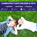 BioTurf Granular Turf Infill – Yard Odor Eliminator for Artificial Grass & Dog Runs – Natural Turf Deodorizer for Pet Urine & Feces Neutralizer – Safe for Kids & Pets – 1 Gallon Pail