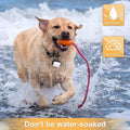 Dog Lights for Night Walking, Clip on Dog Collar Light - 3 Modes, USB-C Rechargeable, IP65 Waterproof, LED Safety Light 