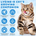 NIFEISHI L-Lysine Liquid Supplement for Cats - for Respiratory Health, Sneezing, Runny Nose & Eye Care - for Cats of All Ages, Easy-to-Use Liquid Drops, 60ml/2oz