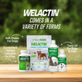 Nutramax Welactin Canine Softgels, Omega 3 Supplement for Dogs, Softgels, 120 Count