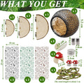 Jumping Spider Habitat Accessories Enclosure Habitat Accessories Jumping Spider Web Climbing and Feeding Platforms with 