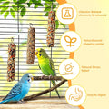 Acsist 3PCS Parakeet Treat,Natural Parrots Treat Sticks,Vegetable & Grain Style Sticks,Bird Treats for Cockatiel Lovebirds Budgies Canary Finches Myna Conure