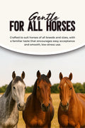 Horse Paste 1.87% – Apple Flavored Wormer – 6.08g Tube – Treats Up to 1250 lb