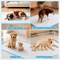 iweepet Enormous 37"x 54" Dog Training Potty Pads, Super Absorbent & Leak-Proof 6 Layers Puppy Pads 30 Counts, Disposable Dog Pee Pads Extra Large for Puppy, Surgery, Older, Cats, Rabbits