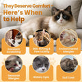 Cat Allergy Relief for Cats Treats, 500 Crunchy Snacks for Immune & Skin Coat Support – Seasonal Allergies, Itching Relief, Omega 3 & Probiotic Natural Supplement for Cat, Chicken (90-Day Supply)
