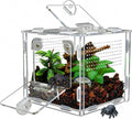 Jumping Spider Enclosure, Small Reptile Terrarium for Tarantula Hermit Crab Praying Mantis, Acrylic Insect Habitat with 