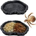 2 Pack Shallow Reptile Food Bowls, Reptile Feeding Terrarium Bowls for Bearded Dragon Lizard Frog Gecko Tortoise Hermit 
