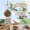 6PCS Crested Gecko Coconut Hut, Lizard Coco Den with Ladder and Reptile Hammock Bearded Dragon Tank Accessories Climbing