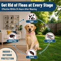 4 Pack Flea Collar for Dogs, 32 Months Flea and Tick Prevention for Dogs