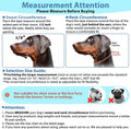 BARKLESS Soft Dog Head Collar, Patented Padded No Pull Head Halter, Training Nose Leash with Safety Link for Medium Large Dogs, Adjustable Muzzle Leash, Easy Control for Walking(Black, M)