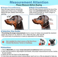 BARKLESS Soft Dog Head Collar, Patented Padded No Pull Training Head Halter