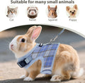 AIITLE Bunny Harness and Leash Set Escape Proof - Magic Tape Design, Lightweight Plaid Pattern Mesh Padding, No Choke No Pull for Puppy Cat Rat Squirrel Ferret, Outdoor Walking Running, Blue S