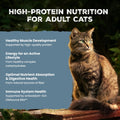 Blue Buffalo Wilderness Chicken Adult Dry Cat Food, Grain-Free, 9.5 lb