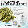 Dr. Woow Fresh Breath Dog Oral Care | Dog Breath Treats | 120 Chews