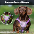 Huntboo Escape Proof Dog Harness, Dachshund Harness, Reflective Dog Harness with Handle, Durable,Adjustable Vest for Sma