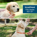 Wondercide Dog Collar - with Natural Essential Oils - 4 Months Protection