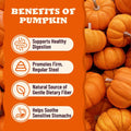 2.9 lbs Pumpkin Puree for Cats and Dogs for Digestive Health