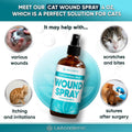 Cat Wound Care Spray is Perfect with Cat Cone | Nano Silver + Chlorhexidine in the Composition | Bites, Scratches, Redne