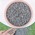 2.4lb River Rocks Pebbles for Plants & Succulents, Decorative Outdoor Landscaping & Aquarium Garden Rocks
