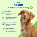 Pet Wellbeing Spark Daily Nutritional Greens Superfood for Dogs & Cats - Probiotics, Prebiotics, Digestive Enzymes, Amino Acids, Antioxidants, Vitamin D, Spirulina - Vet-Formulated 3.53 oz (100 g)