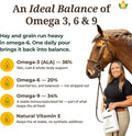 100% Pure Camelina Oil for Horses – Omega 3 & Vitamin E Rich Supplement for Coat, Hooves, Arthritis, Joints, Weight Gain