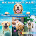 Dog Shock Collar with Remote Control- Electric Collar for Dogs Training Rechargeable, Training Collar for Small Medium L