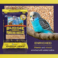 Hagen Parakeet/Budgie Staple White Millet Bird Seed – Premium Blend, Nutritionally Balanced, Fortified with Vitamins & Minerals, Dust-Free Mix for Budgies, 6 lb Bag