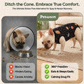 PetWarm Neuter Recovery Suit, Dog Surgical Suit, Cosmic, Black Gold, L