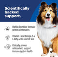 Hill's Science Diet Adult Sensitive Stomach & Skin Wet Dog Food, Turkey & Rice, 12.5 oz. Cans, 12-Pack