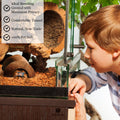 SunGrow Hermit Crab Coconut Cave, Spacious Hide Interior Habitat Comfort Zone, Ascension Coco Shelter Tank Decor Utility