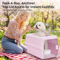 RIZZARI 22" Hard Cat Carrier: Travel Kennel for Cats & Small Dogs