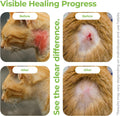 Vetenix Cat Wound Care Spray Feline Healing Aid, Skin Repair for Cuts, Sores & Abrasions | Itch Relief for Irritated Cat Skin | Hot Spot & Allergy Support | Safe & Non-Toxic | 3.38 fl oz