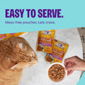 Wellness Healthy Indulgence Gravies Adult Wet Cat Food, Natural, Protein Rich, Grain Free, Tuna and Mackerel Recipe, 3 oz, Pack of 24 Pouches