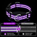 Martingale Collars for Dogs, Reflective Escape Proof Training Dog Collars with Quick Release Buckle,Adjustable No Slip Nylon Dog Collar for Medium Pets