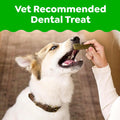Greenies Veterinarian-Recommended Natural Dental Dog Treats, Large Size, Original Flavor, 36 oz. Pack, 24 Count