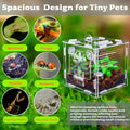 Jumping Spider Enclosure, Small Reptile Terrarium for Tarantula Hermit Crab Praying Mantis, Acrylic Insect Habitat with 