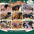 Kuoser Dog Recovery Suit After Surgery, Spay Neuter Surgical Suit for Dogs