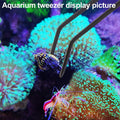Coral Reef Grabber,Coral Feeder,Aquarium Veggie Feeder,Fish Tank Food Clip,Fish net(Reef Grabber and Coral Feeder Kits (