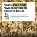 JustFoodForDogs JustFresh Fresh Sensitive Stomach Dog Food Pouches - 7 Pack