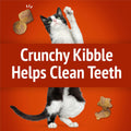Purina Friskies Party Mix Gravy-Licious Crunch Chicken and Gravy Flavors Cat Treats - 30 oz Canister