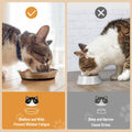 Wellbro Cat Bowls, 2 Pcs Stainless Steel Cat Bowls for Food and Water, Whisker Fatigue Shallow Non-Slip Dishes Plates for Small Dog Puppies Cats