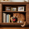 SPOT Capybara with Watermelon Plush Cat Toy, Fully Stuffed Toy with Soft Plush & Crinkle Inside, Made with Catnip and Si