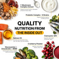 Turkey Tail Mushroom for Dogs 200 Count - Dog Multivitamin & Mushroom Chews
